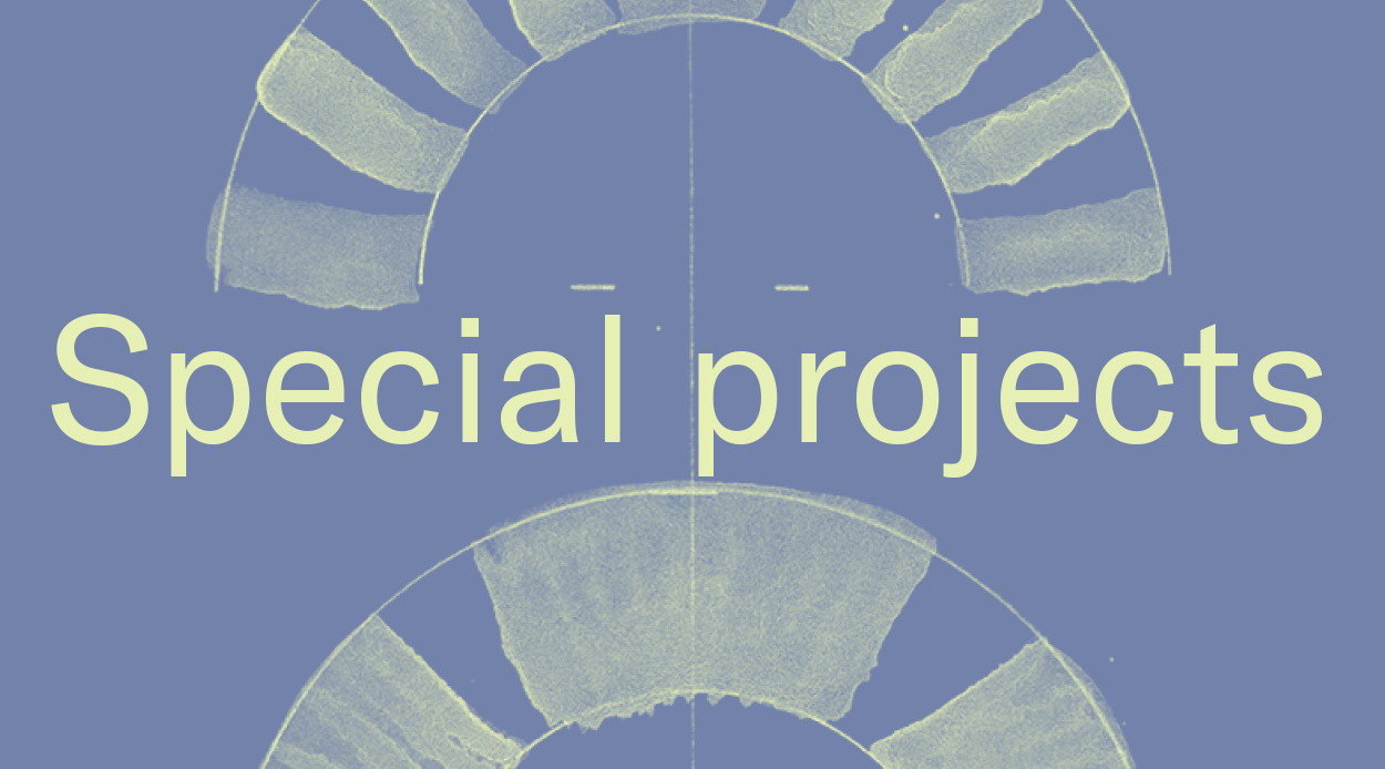 special projects.png